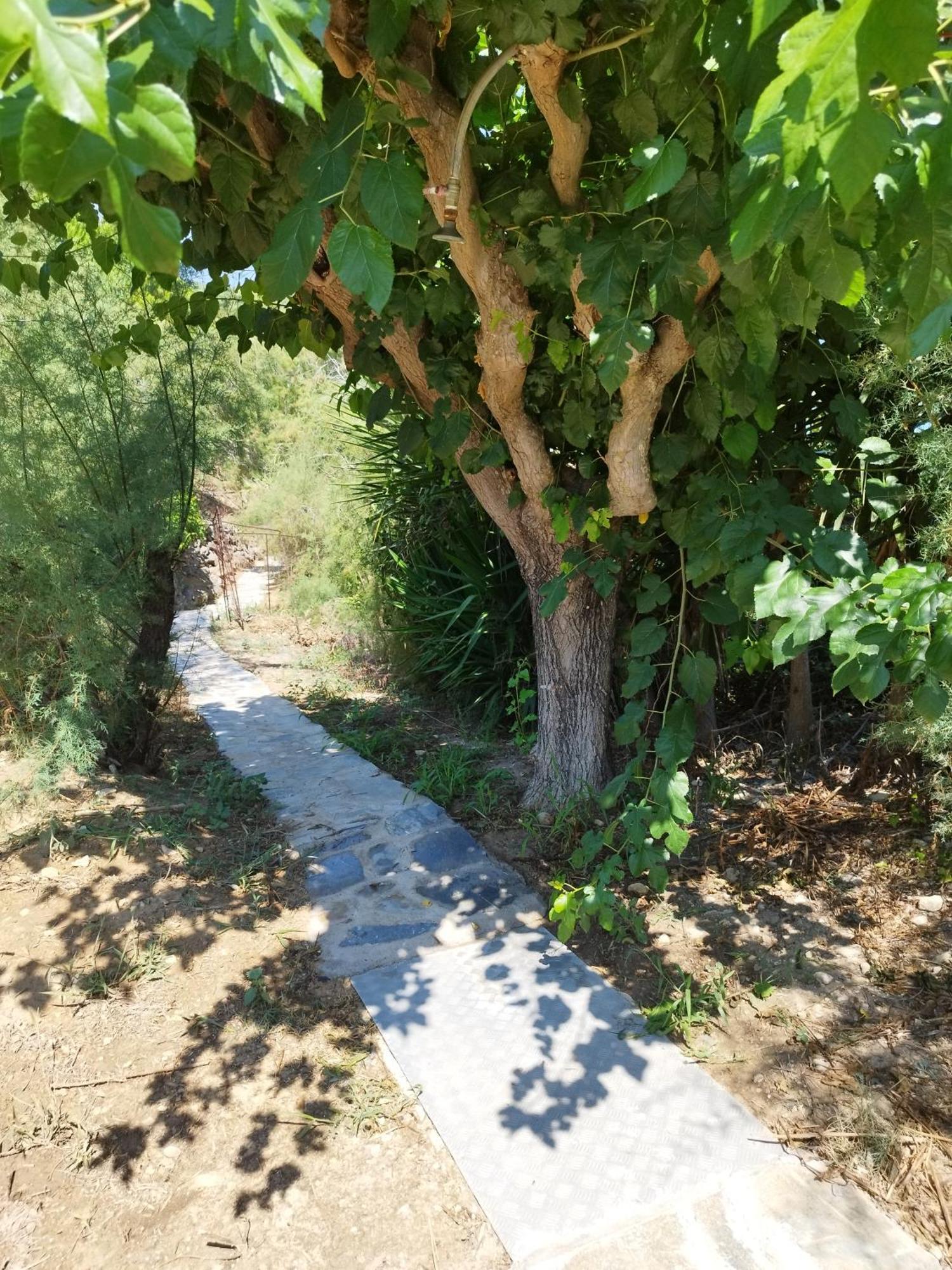 Villa Agia Aikaterini Amoudi Buitenkant foto