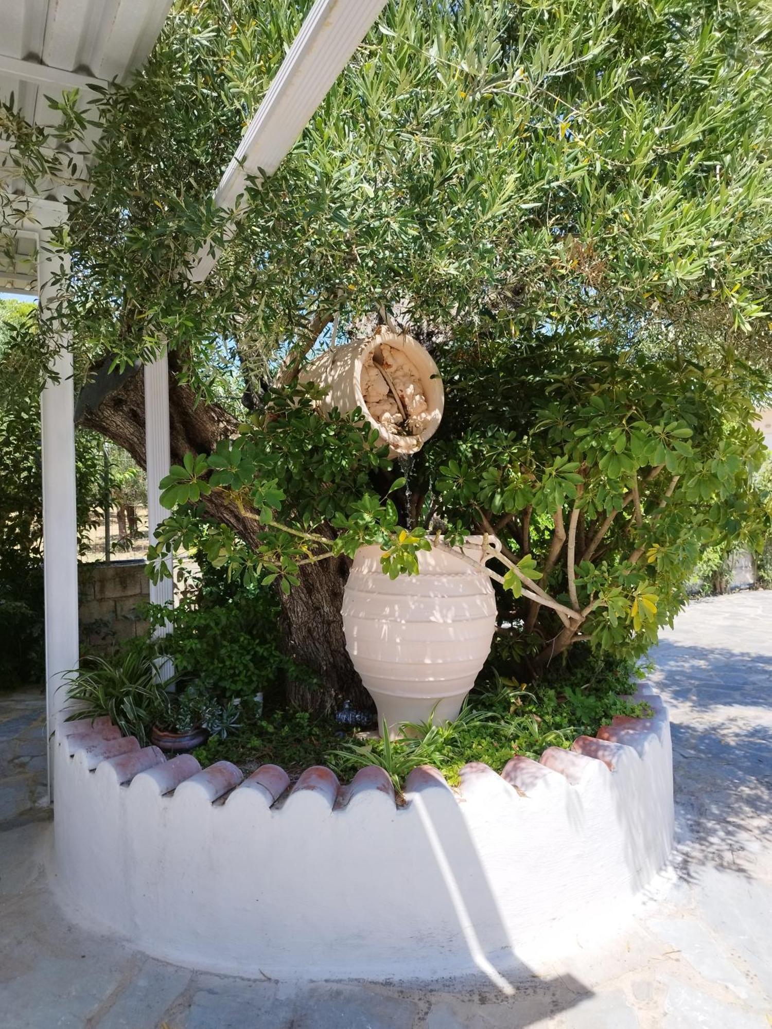 Villa Agia Aikaterini Amoudi Buitenkant foto